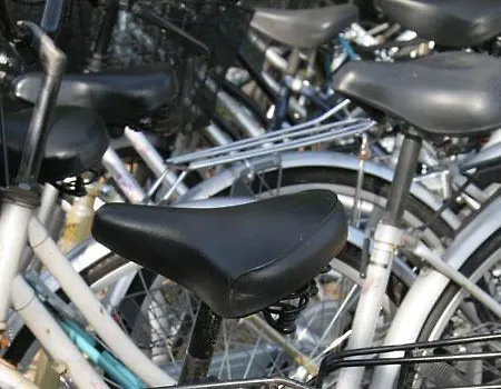 Birkso Tonderhus מלון